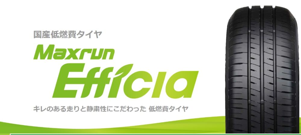 マックスラン エフィシアの寿命と性能は？製造元や価格もチェック -